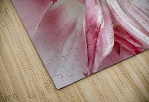 V132 Natalie Stanislavsky puzzle
