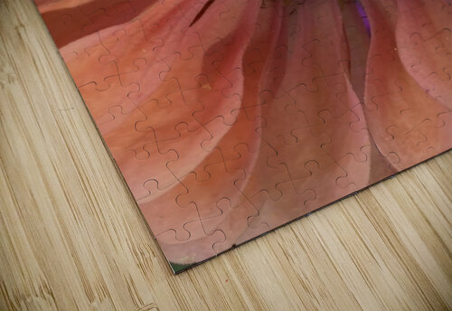 V138 Natalie Stanislavsky puzzle