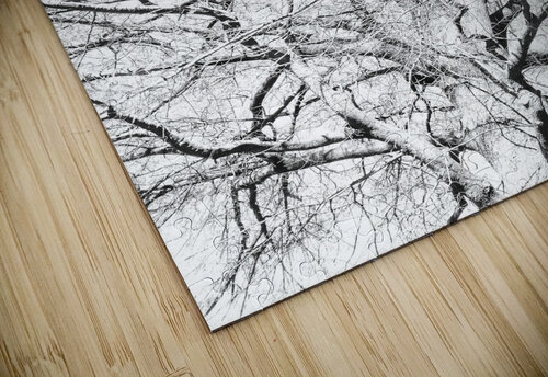 V150 Natalie Stanislavsky puzzle