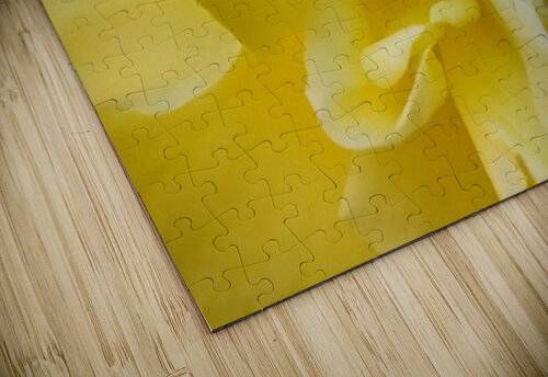 V154 Natalie Stanislavsky puzzle