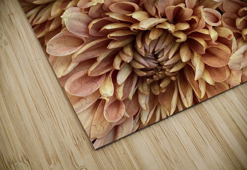 V174 Natalie Stanislavsky puzzle