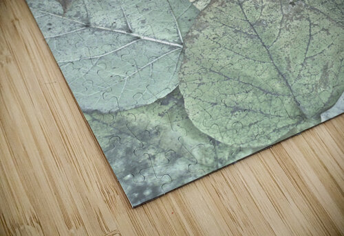 V182 Natalie Stanislavsky puzzle