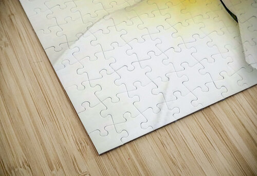 V189 Natalie Stanislavsky puzzle