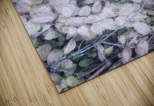 V199 Natalie Stanislavsky puzzle