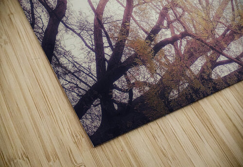 V201 Natalie Stanislavsky puzzle