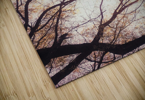 V202 Natalie Stanislavsky puzzle