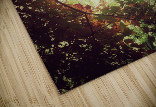 V206 Natalie Stanislavsky puzzle