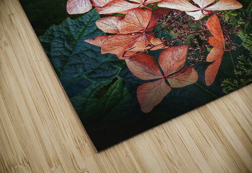 V208 Natalie Stanislavsky puzzle