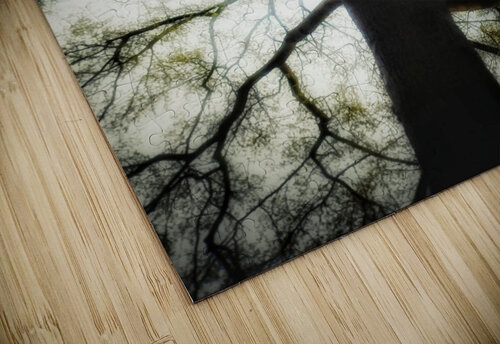V209 Natalie Stanislavsky puzzle