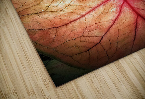 V212 Natalie Stanislavsky puzzle