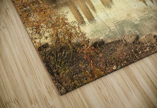 V219 Natalie Stanislavsky puzzle