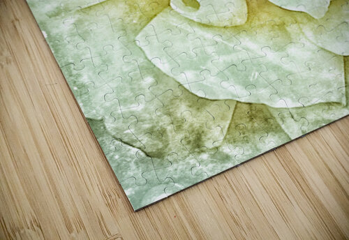 V220 Natalie Stanislavsky puzzle