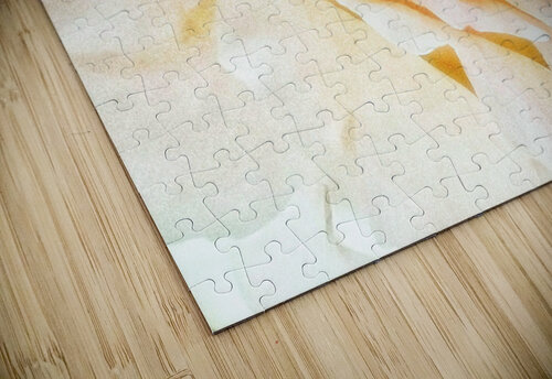 V222 Natalie Stanislavsky puzzle