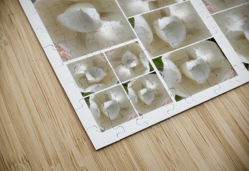 V225 Natalie Stanislavsky puzzle