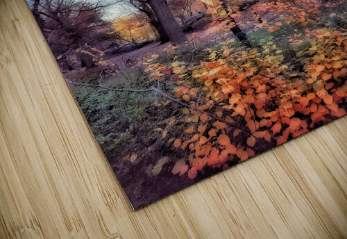 V226 Natalie Stanislavsky puzzle