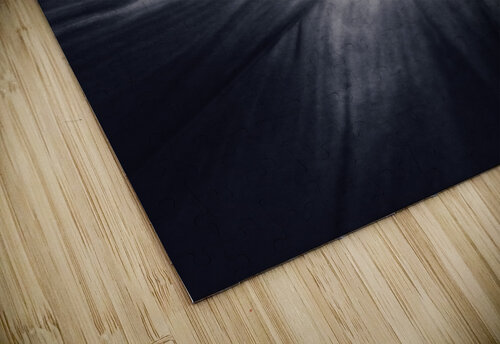 V228 Natalie Stanislavsky puzzle