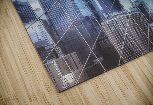 V235 Natalie Stanislavsky puzzle