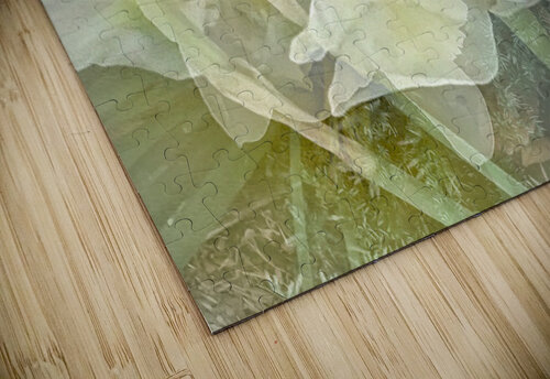 V239 Natalie Stanislavsky puzzle