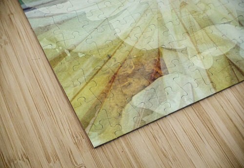 V240 Natalie Stanislavsky puzzle