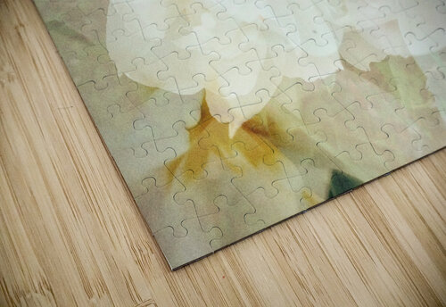 V241 Natalie Stanislavsky puzzle