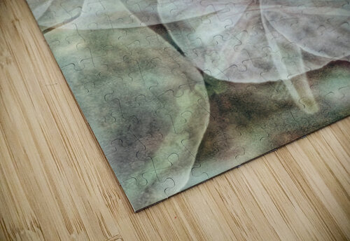 V242 Natalie Stanislavsky puzzle