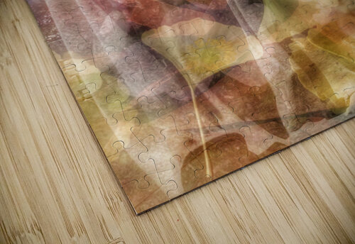 V247 Natalie Stanislavsky puzzle