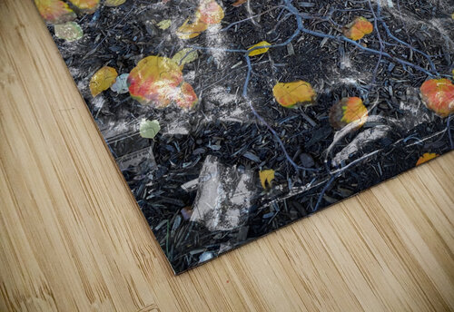 V248 Natalie Stanislavsky puzzle