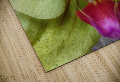 V252 Natalie Stanislavsky puzzle