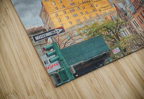V256 Natalie Stanislavsky puzzle