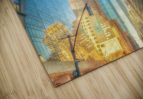 V264 Natalie Stanislavsky puzzle
