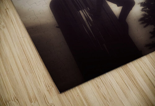 V272 Natalie Stanislavsky puzzle