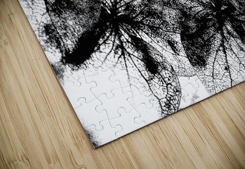 V275 Natalie Stanislavsky puzzle