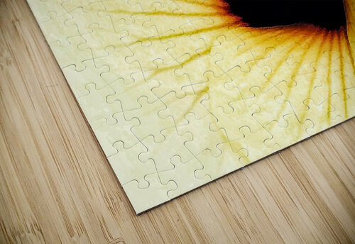 V282 Natalie Stanislavsky puzzle