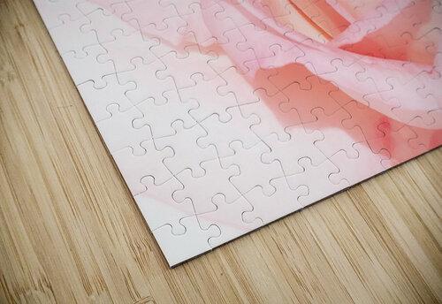 V283 Natalie Stanislavsky puzzle