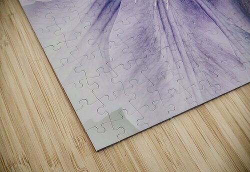 V285 Natalie Stanislavsky puzzle