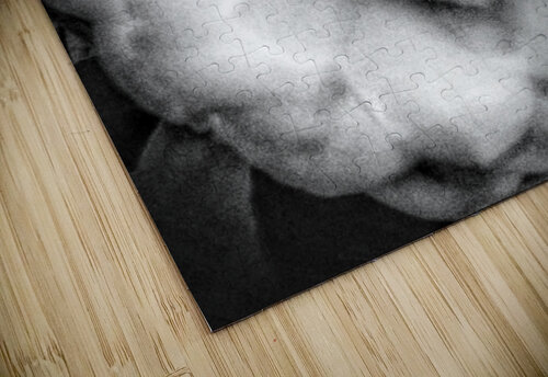 V294 Natalie Stanislavsky puzzle