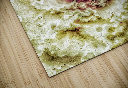 V295 Natalie Stanislavsky puzzle