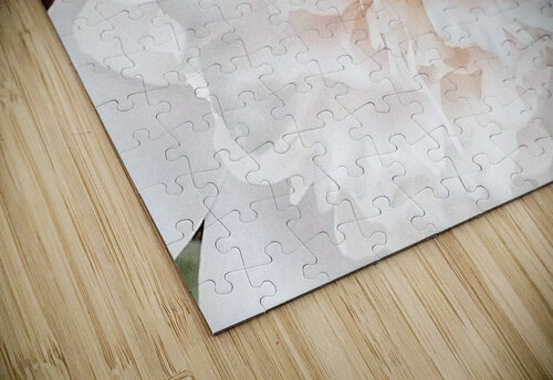 V296 Natalie Stanislavsky puzzle