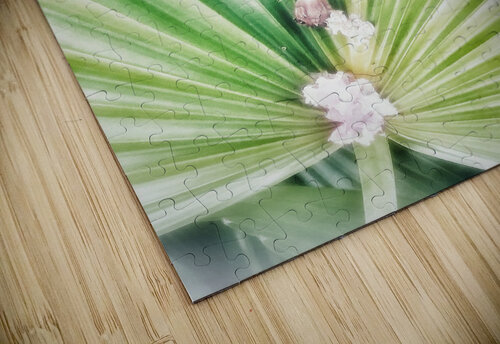V297 Natalie Stanislavsky puzzle
