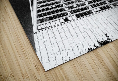 V298 Natalie Stanislavsky puzzle