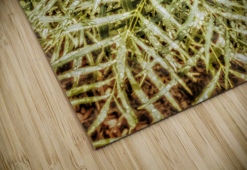 V302 Natalie Stanislavsky puzzle