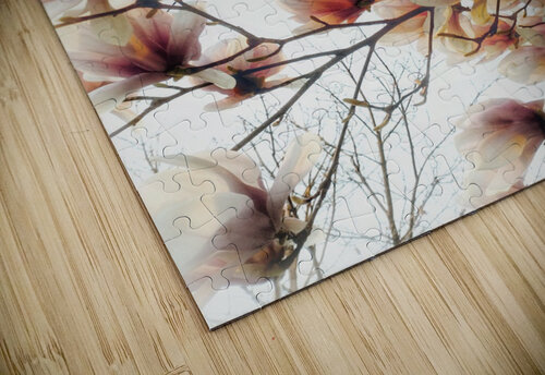 V303 Natalie Stanislavsky puzzle