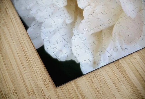 V304 Natalie Stanislavsky puzzle
