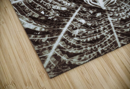 V308 Natalie Stanislavsky puzzle