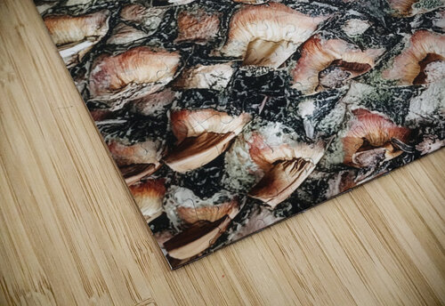 V309 Natalie Stanislavsky puzzle