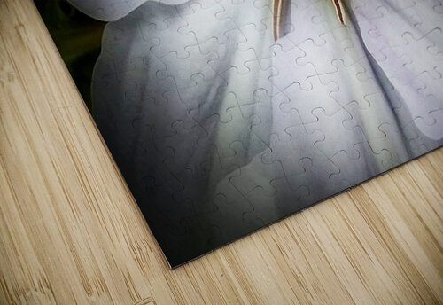 V310 Natalie Stanislavsky puzzle