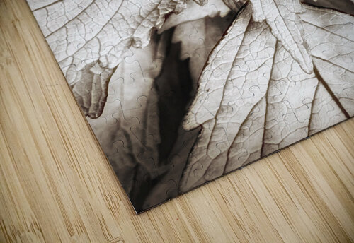 V312 Natalie Stanislavsky puzzle