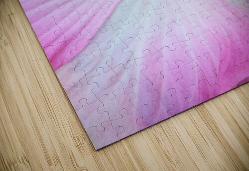 V317 Natalie Stanislavsky puzzle