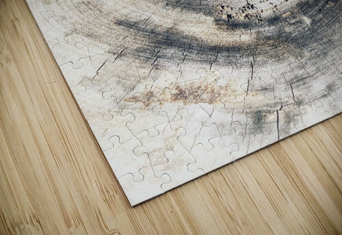V320 Natalie Stanislavsky puzzle