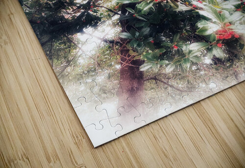 V323 Natalie Stanislavsky puzzle